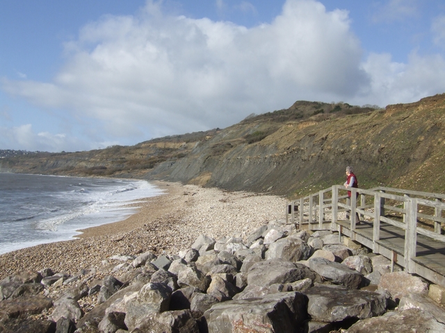 Charmouth Beach (West) - Dorset