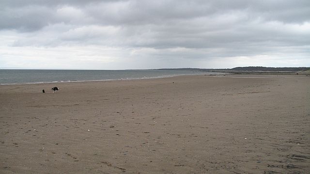 Seton Sands Beach (Longniddry) - Lothian