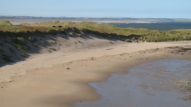 Coves Haven Beach (Holy Island) - Northumberland