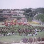 Terraced gardens, Margate 1965