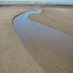 Sands in the Taw/Torridge estuary