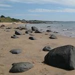 Boulders on the beach