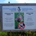 Bee orchids - warning sign