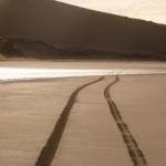 Llanmadoc: tyre marks on Broughton Bay beach
