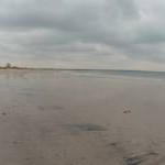 Studland Beach : Sandy Beach at Low Tide