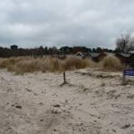 Studland Beach : Sand Dune & Beach Hut