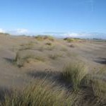 High Cape dunes