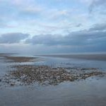 Low Tide, Norman's Bay