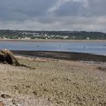 Foreshore and beach - Mumbles