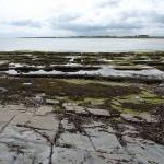 Coastal rocks at the mouth of the Annstead Burn