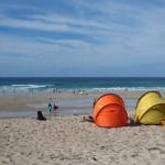 Beach tents and dog on Gwynver beach