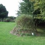 Willow structure created at Ventnor Botanic Garden