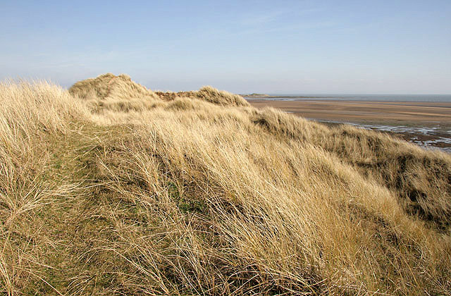 The dune system at Preston Merse