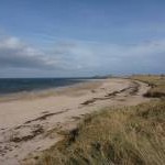 Coastal East Lothian : The Beach at Yellow Craig