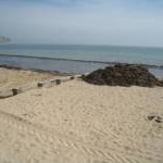 Mounds of seaweed - Swanage Beach