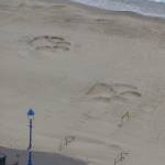Bournemouth: large lion pawprints on the beach
