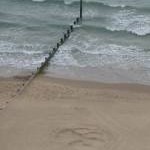 Bournemouth: a groyne and a large pawprint