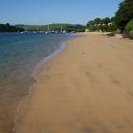 Sand by the Salcombe Estuary
