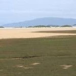 Saltmarsh and embryonic dunes beside Traigh an Taoibh Thuath