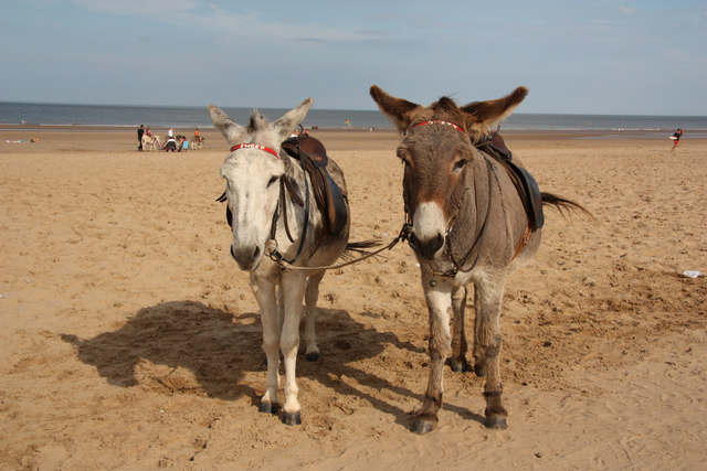 Mablethorpe Town Beach - Lincolnshire