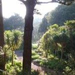Westbourne: looking down into the tropical gardens