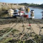 Mooring lines in Cemaes Harbour