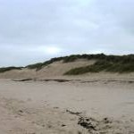 Cresswell dunes