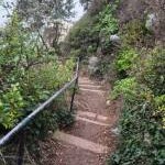Torquay : Steep Steps