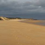 Dunes, Ravensheugh Sands