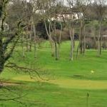Golf course, Helen's Bay (1)