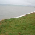 Cliff top west of Eype Mouth