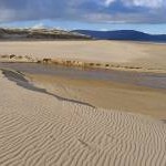 Ripples on Embo sands