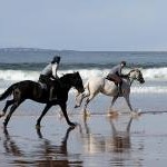 Horse riding at Seacliff