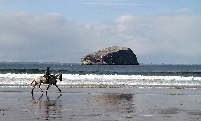 A horse and rider at Seacliff