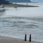 Arnside Beach - tide coming in