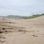 The sand dunes at Druridge Bay, near Cresswell, Northumberland