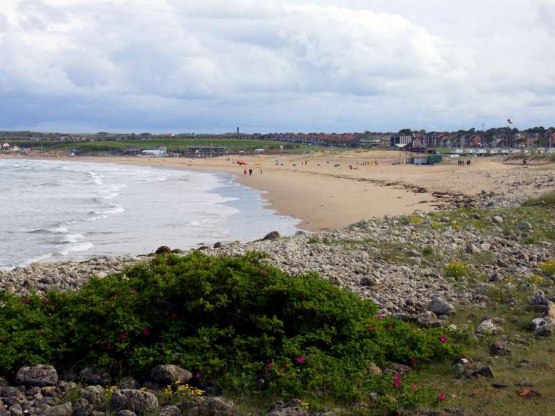 Sandhaven Beach - Tyne and Wear