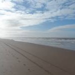 The Beach at Formby Point