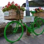 Green bicycle, Pittenweem
