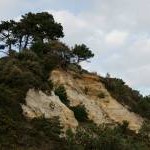 Canford Cliffs, Dorset