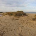 Dune erosion at Wells