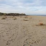 Dune erosion, Holkham Bay