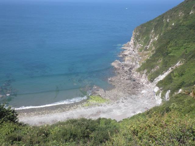 Wild Pear Beach - Devon