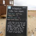 Little Tern nesting site, Winterton