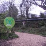 Woodland walk with sewage pipe