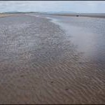 Lurganboy beach near Clogherhead (2)