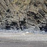 Eroded 'Aberystwyth Grits' sedimentary rock at Wallog