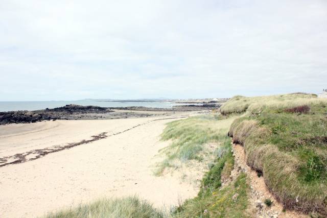 Llanfaelog - Porth Nobla Beach - Anglesey