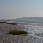 Swansea Bay at low tide
