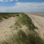 Recovering dunes, Titchwell